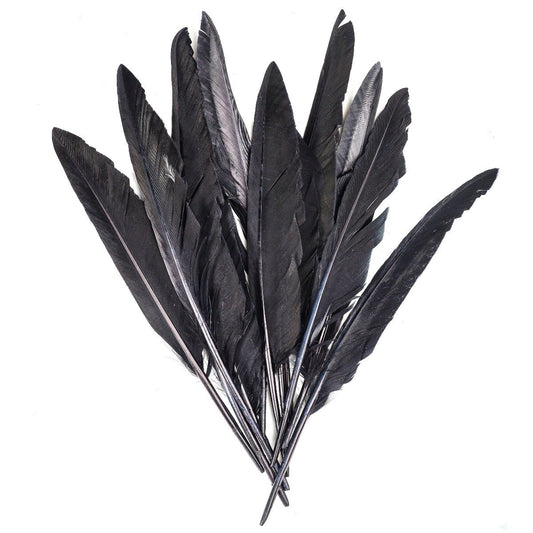 Loose Duck Pointers Shaded-Dyed - Black - Feathers