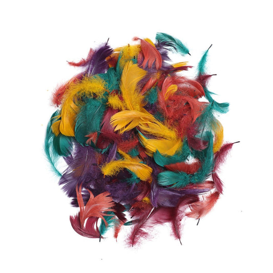 Loose Goose Coquille Mix Dyed - Autumn Mix - Feathers