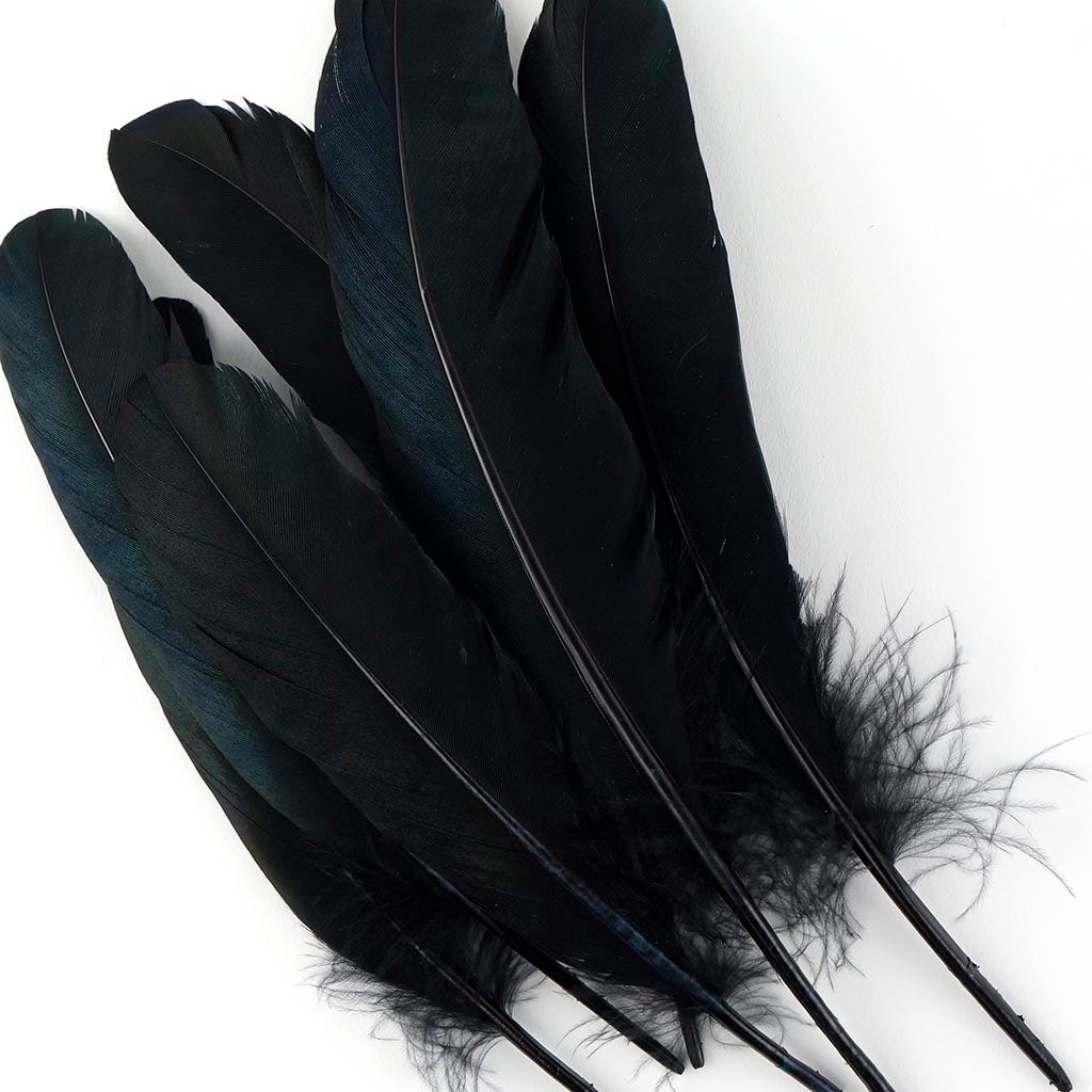 Loose Goose Favions Dyed Black Iridescent - Feathers