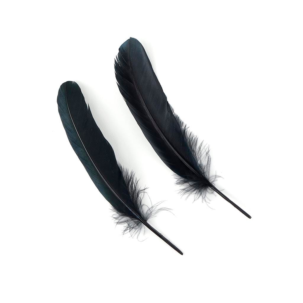 Loose Goose Favions Dyed Black Iridescent - Feathers