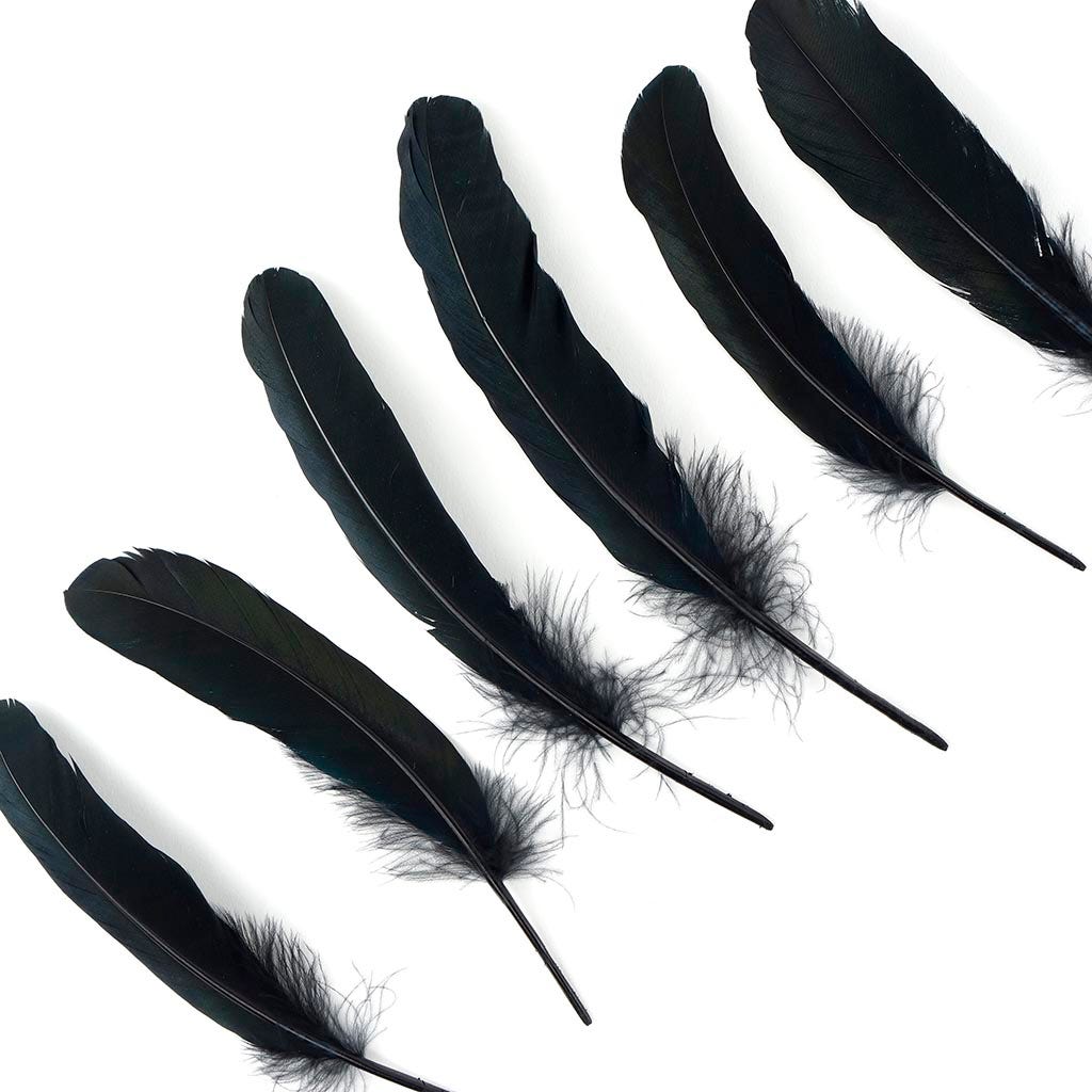 Loose Goose Favions Dyed Black Iridescent - Feathers