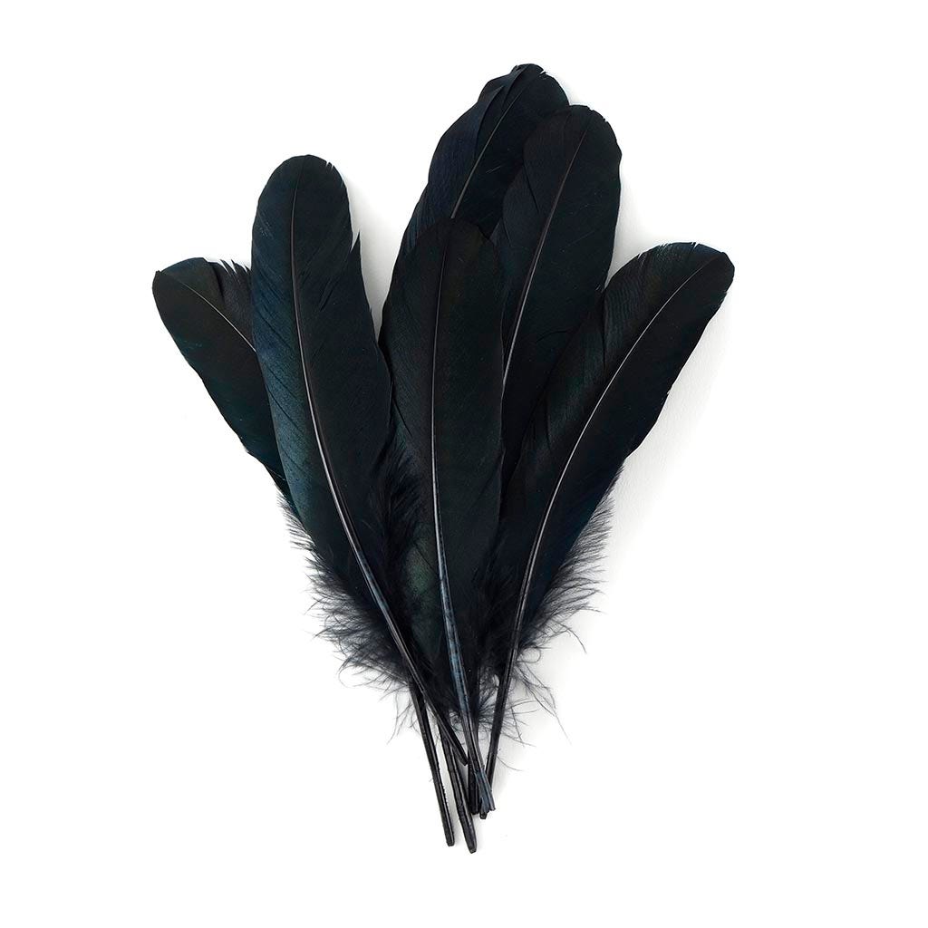 Loose Goose Favions Dyed Black Iridescent - Feathers