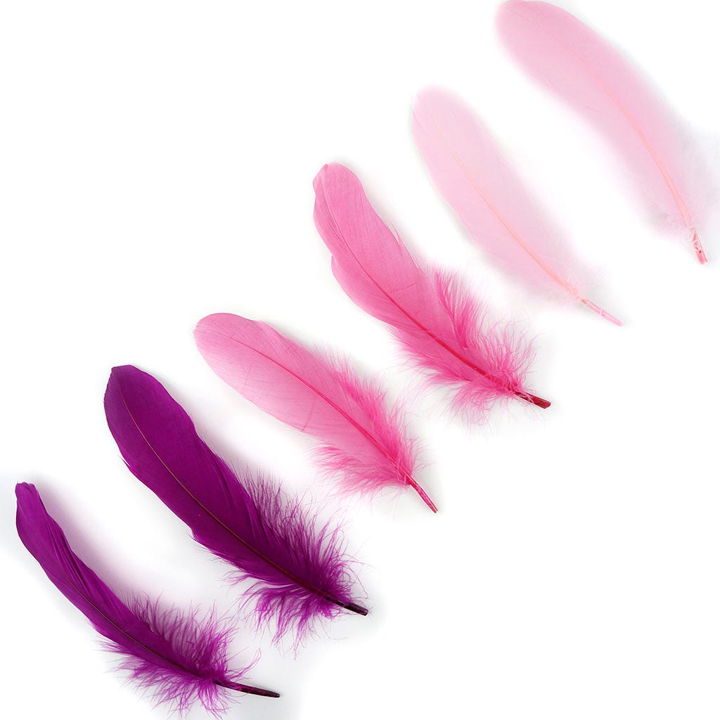 Loose Goose Pallets Mix Dyed Lovebug - Feathers