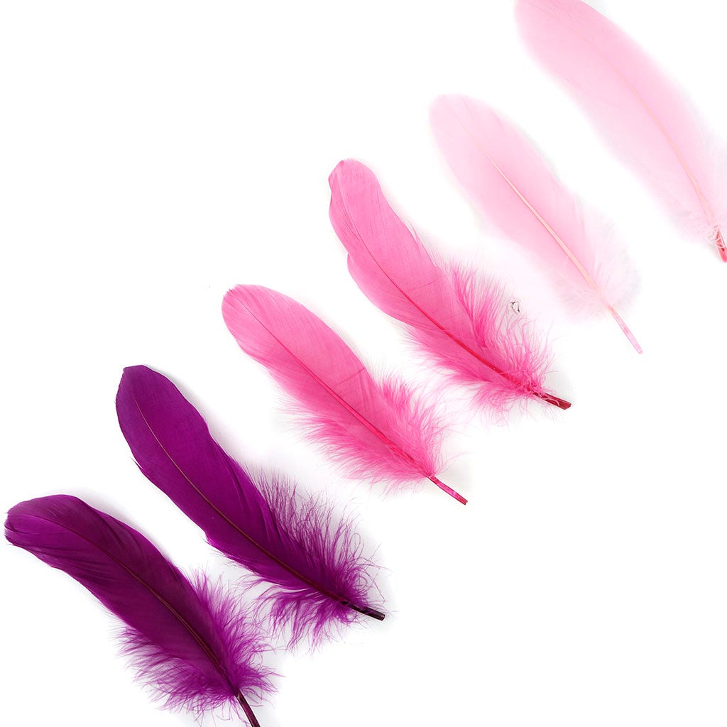 Loose Goose Pallets Mix Dyed Lovebug - Feathers