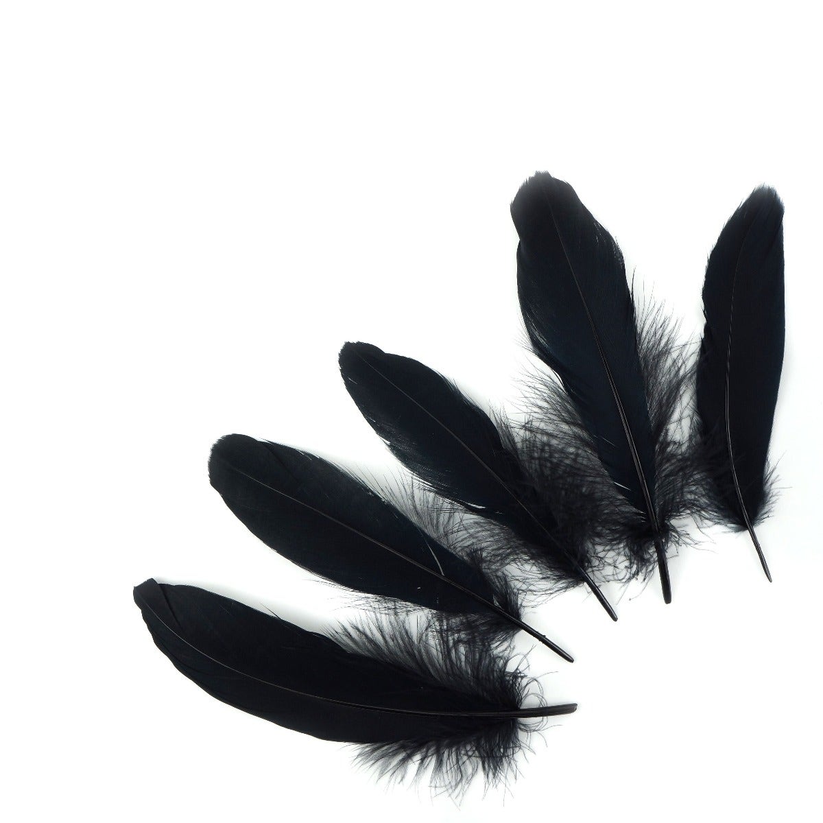 Loose Goose Satinettes Dyed - Black - Feathers