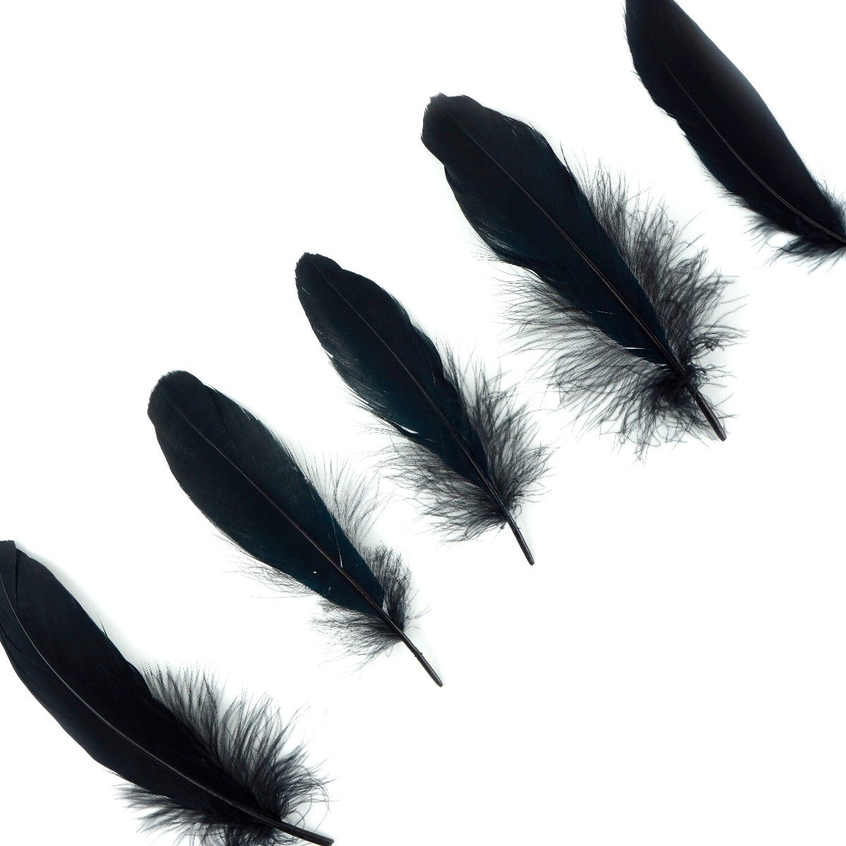 Loose Goose Satinettes Dyed - Black - Feathers