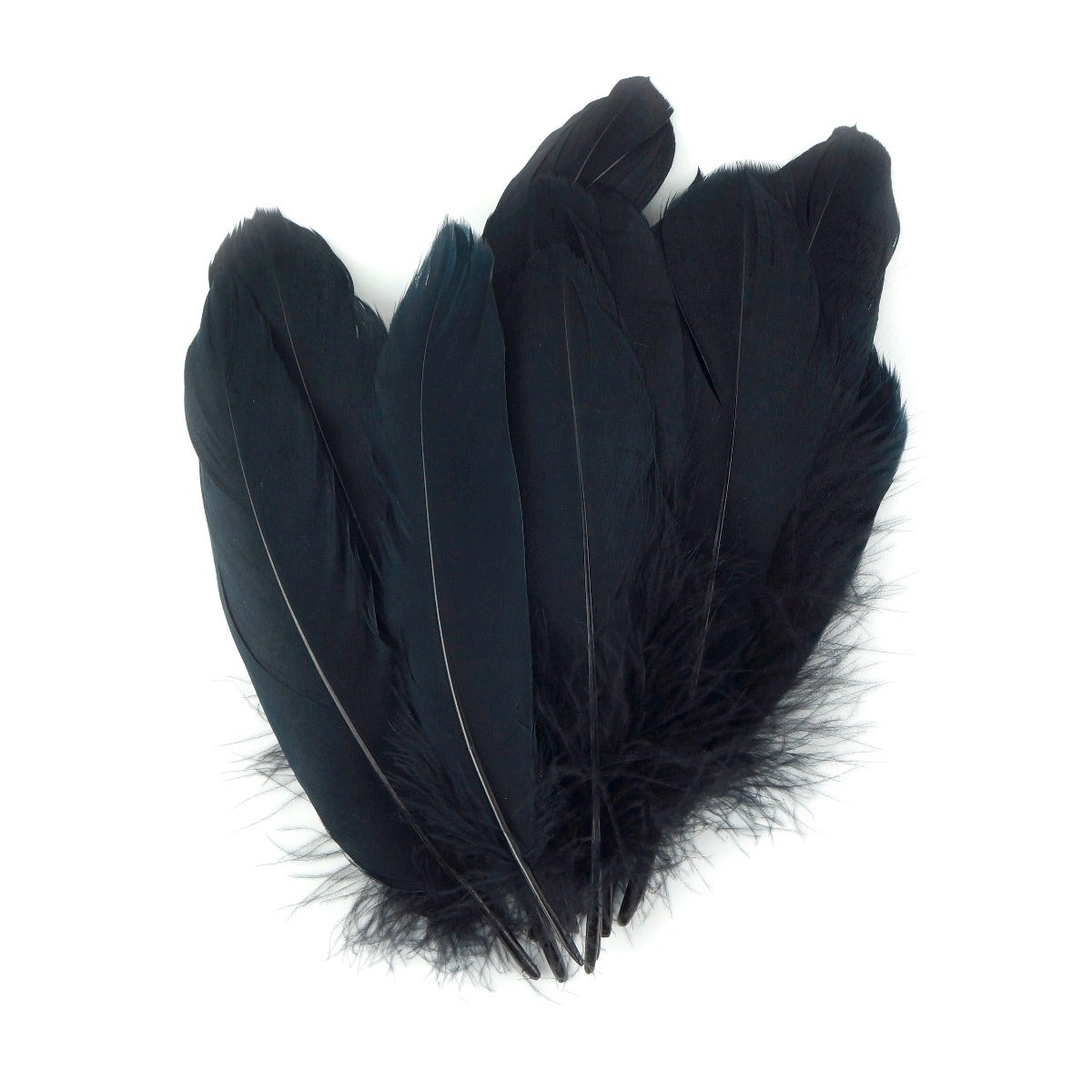 Loose Goose Satinettes Dyed - Black - Feathers