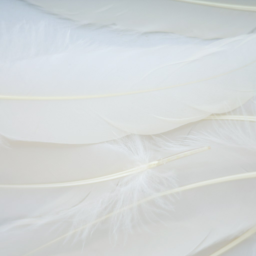 Loose Goose Satinettes Dyed - Ivory - Feathers