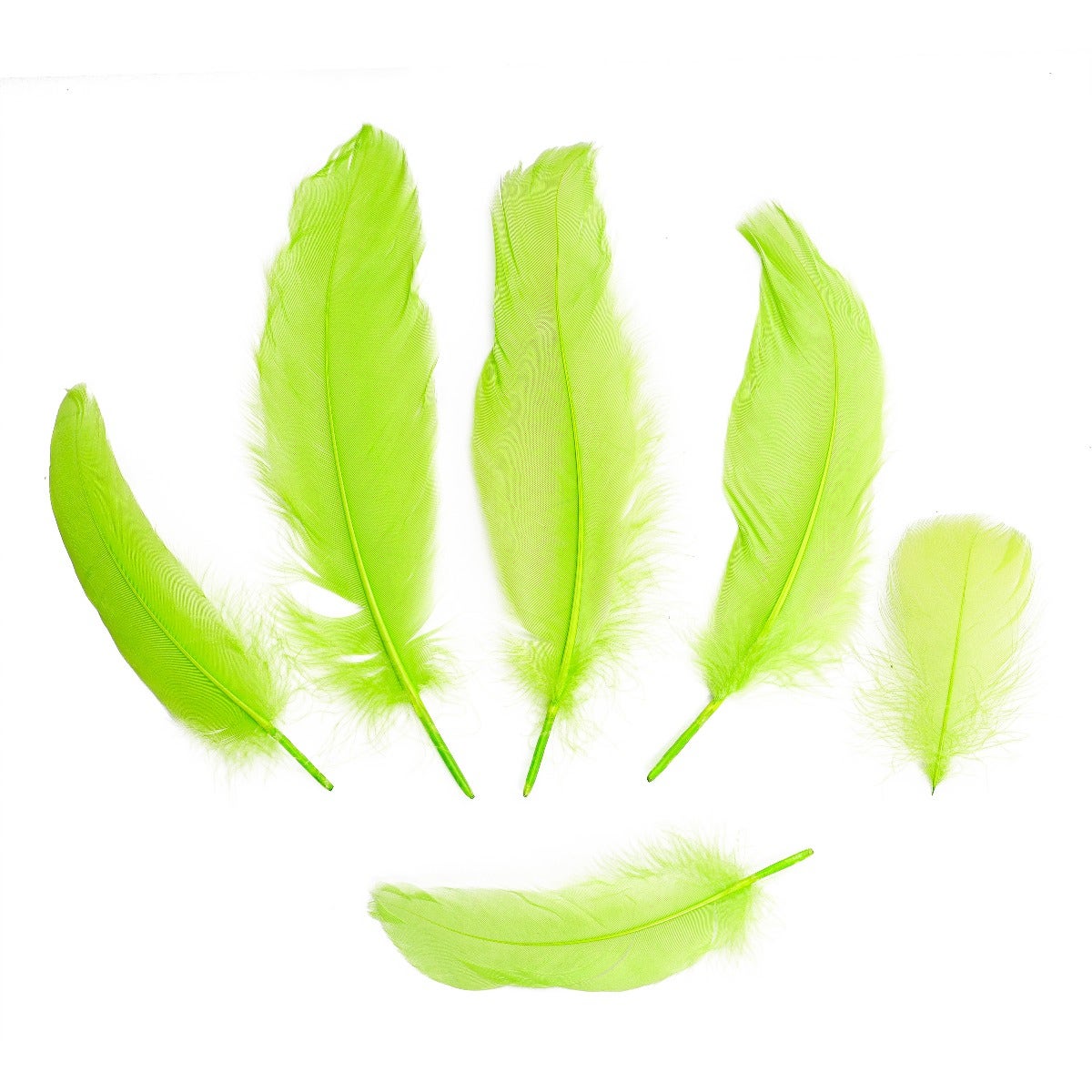 Loose Goose Satinettes Dyed - Lime - Feathers