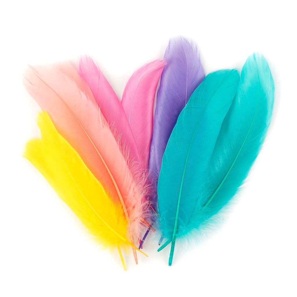 Loose Goose Satinettes Feathers Mix Dyed - Cakemix - Feathers