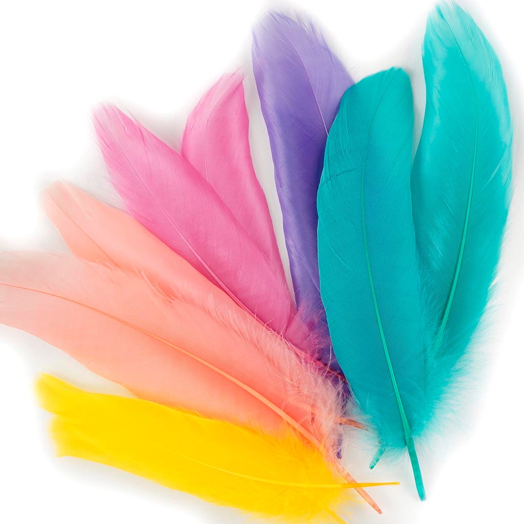 Loose Goose Satinettes Feathers Mix Dyed - Cakemix - Feathers