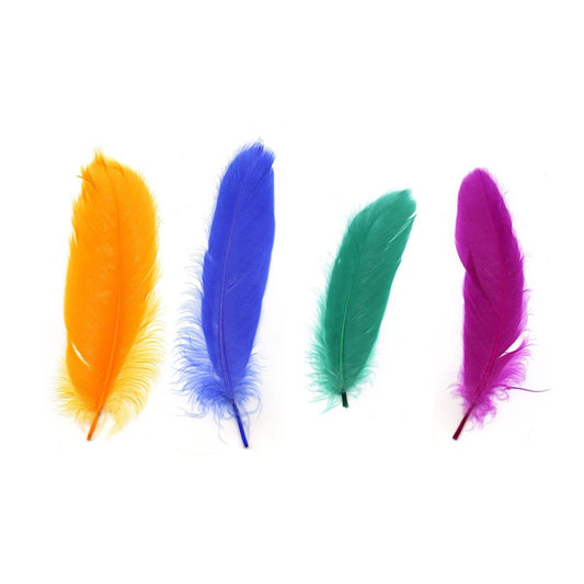 Loose Goose Satinettes Mix Dyed - Carnival Mix - Feathers