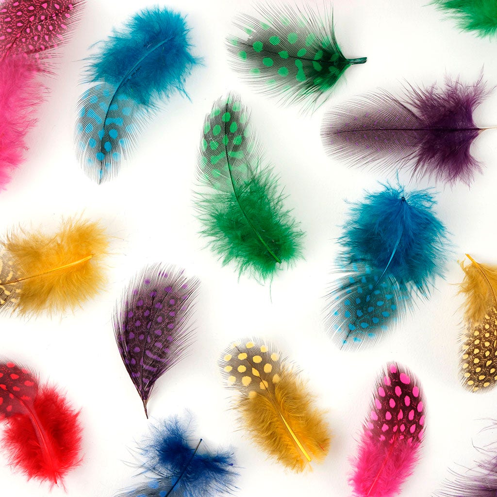 Loose Guinea Plumage Mix Dyed - Classic Mix - Feathers