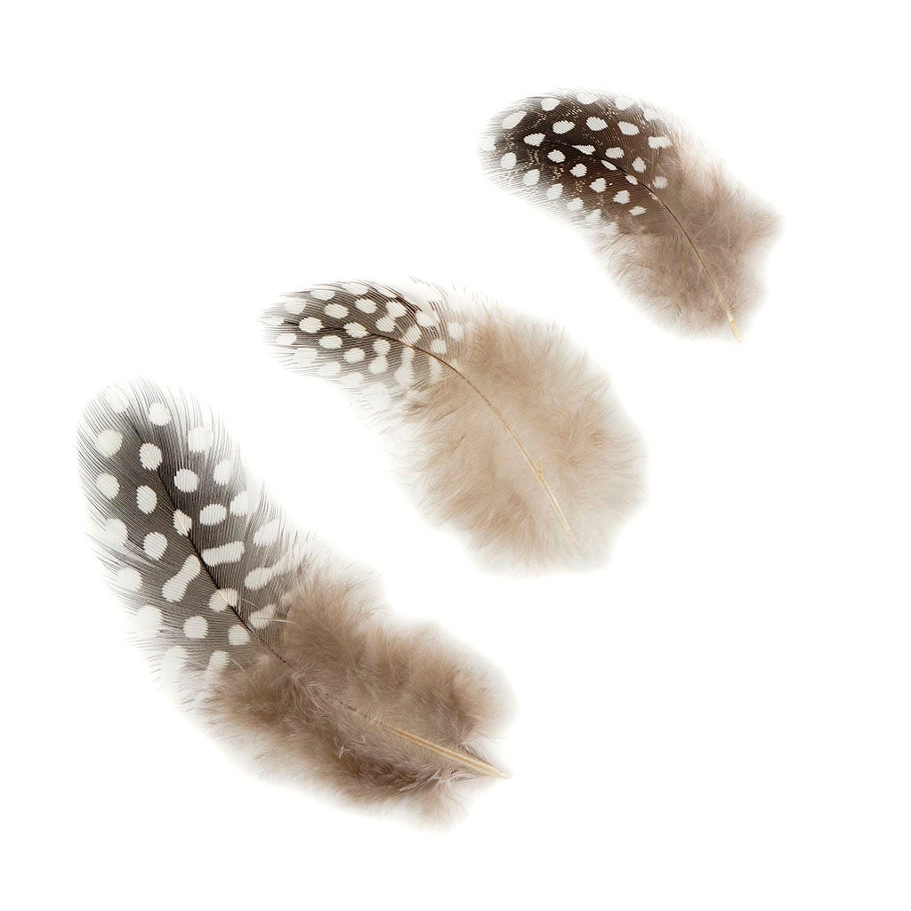 Loose Guinea Plumage Natural - Natural - Feathers