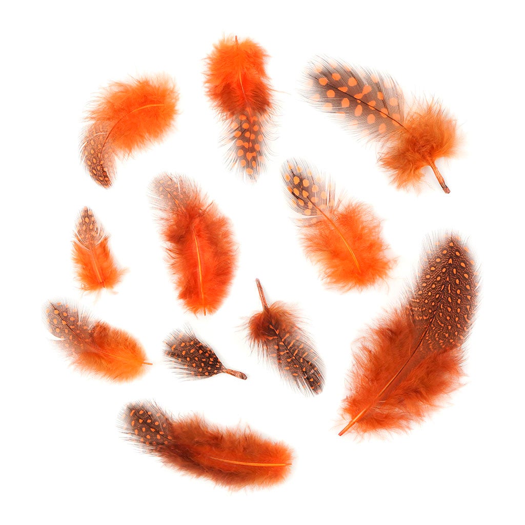 Loose Guinea Plumage Natural - Orange - Feathers