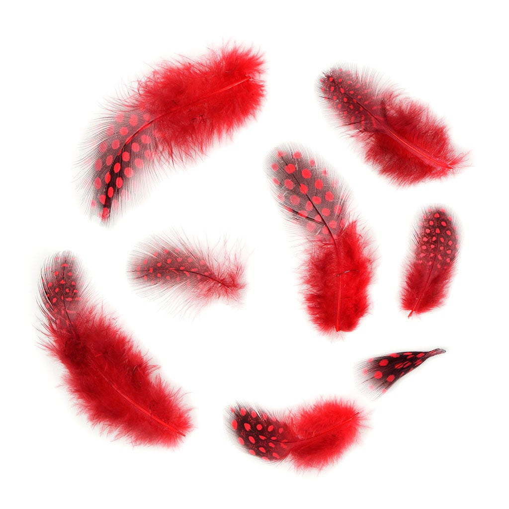 Loose Guinea Plumage Natural - Red - Feathers