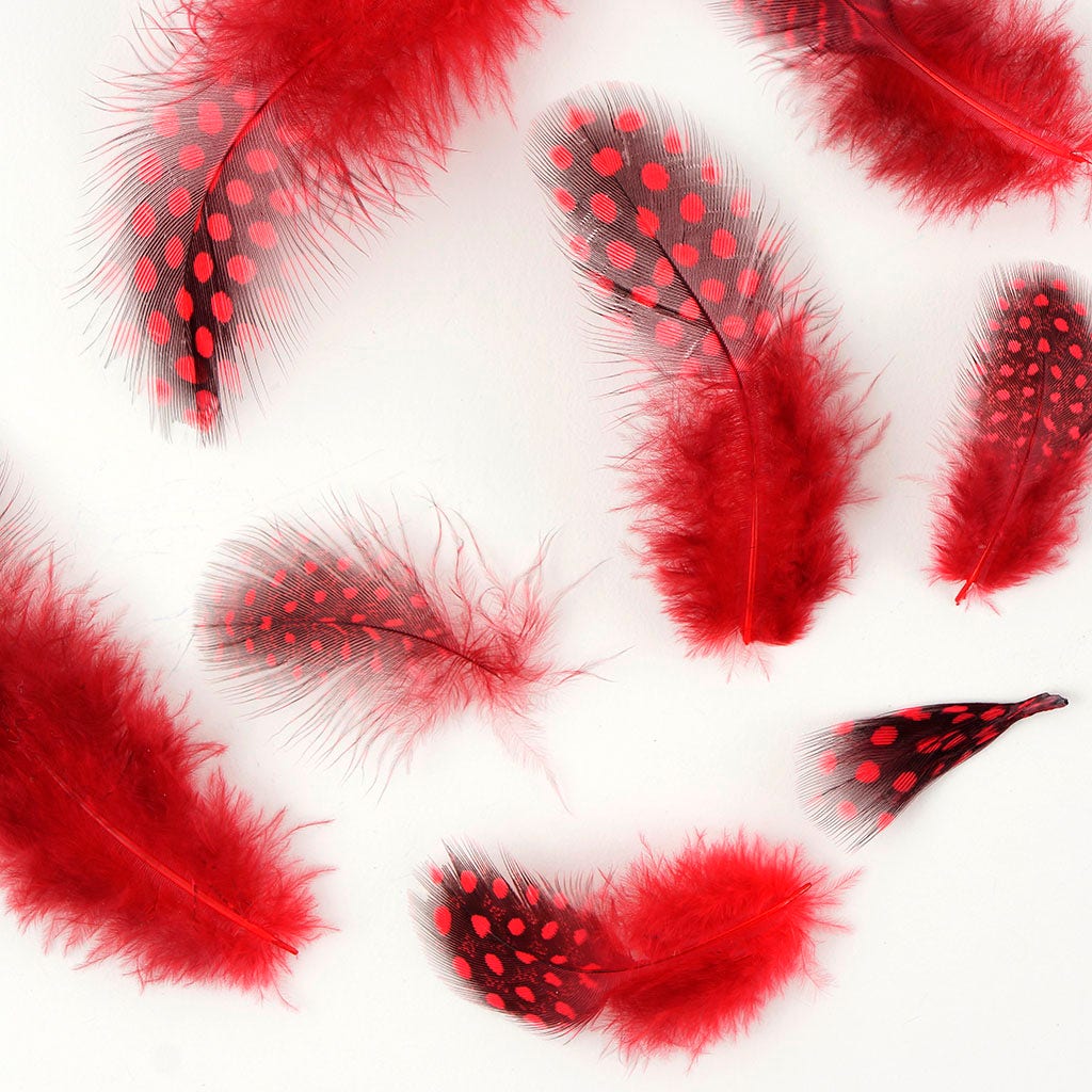 Loose Guinea Plumage Natural - Red - Feathers