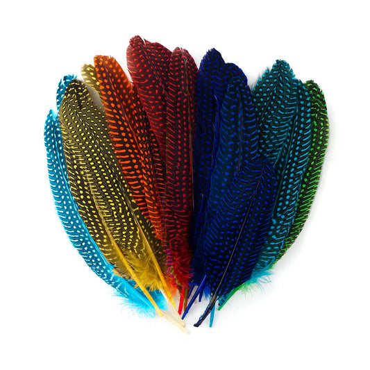 Loose Guinea Rounds Mix Dyed - Classic Mix - Feathers