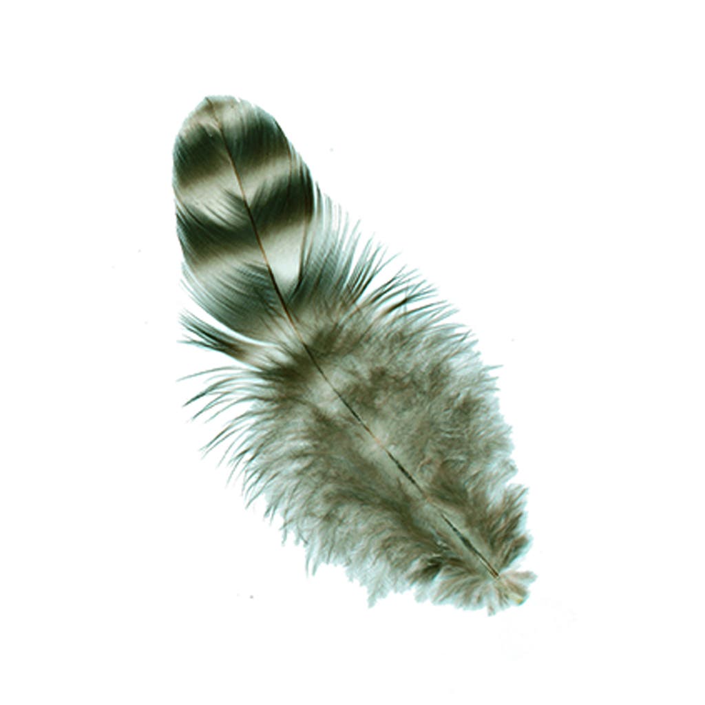 Loose Rooster Chinchilla Natural - 3 - 4’’ - Feathers