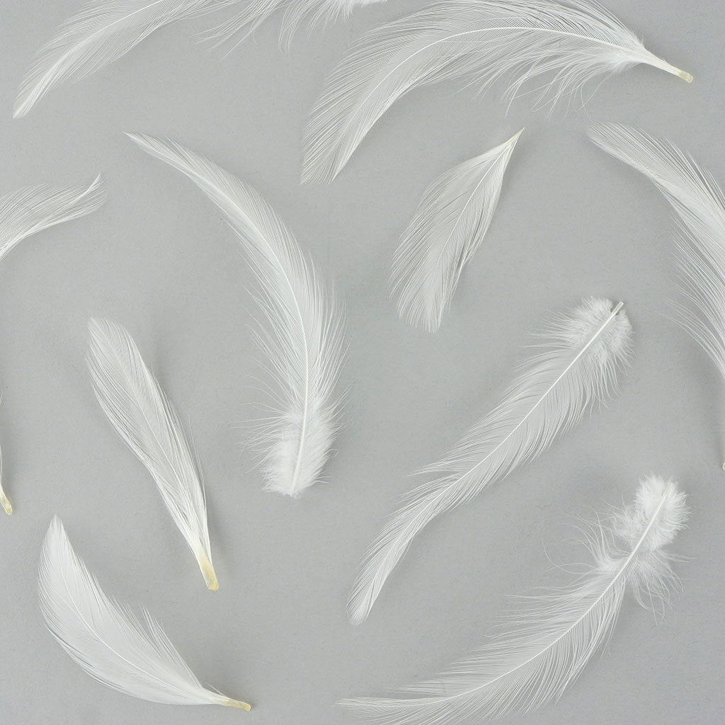 Loose Rooster Hackle Feather Dyed 1-3’’ - White - Feathers