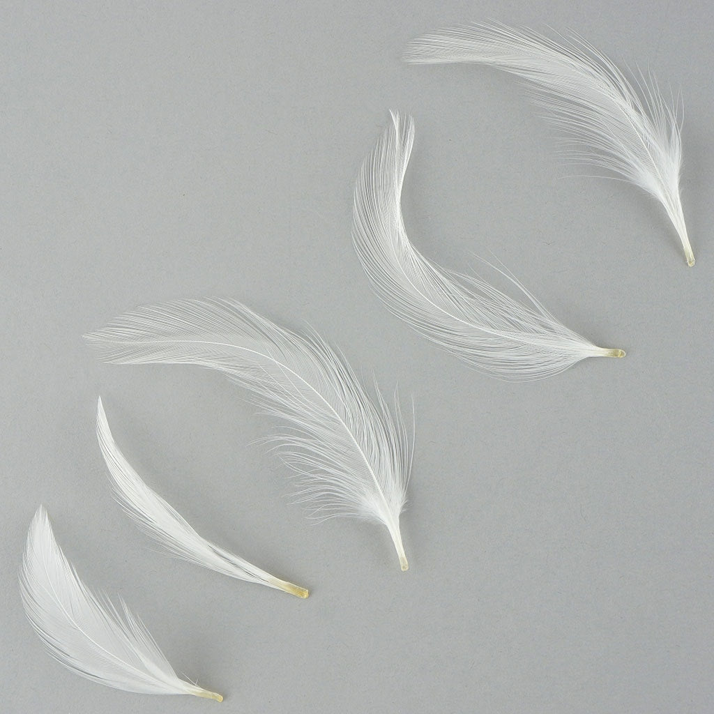 Loose Rooster Hackle Feather Dyed 1-3’’ - White - Feathers