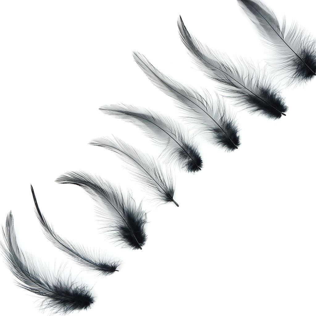 Loose Rooster Hackle Feathers Dyed 1-3’’- Black - Feathers