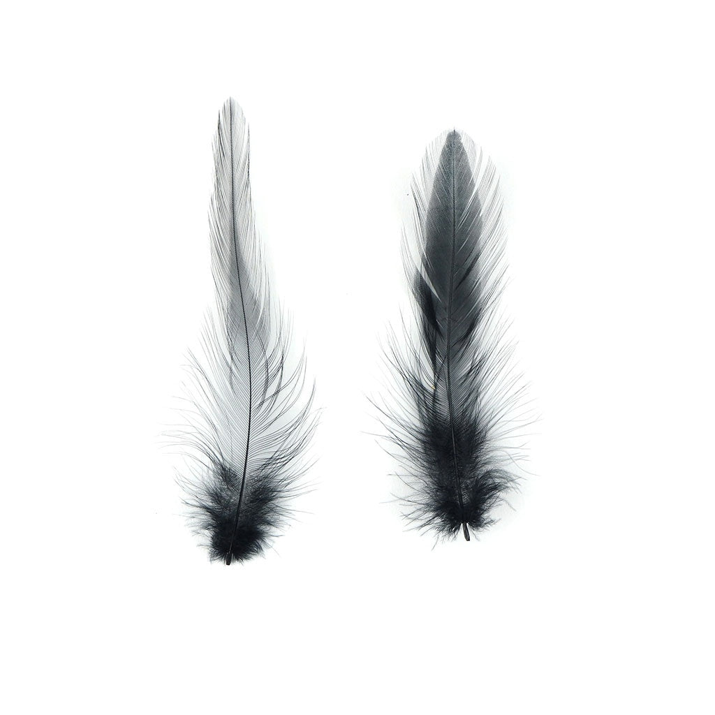 Loose Rooster Hackle Feathers Dyed 1-3’’- Black - Feathers