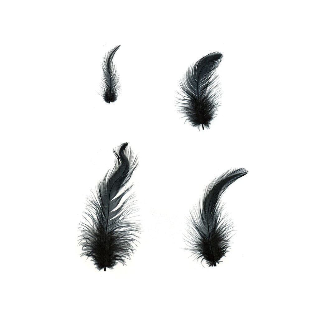 Loose Rooster Hackles Dyed - Black - Feathers