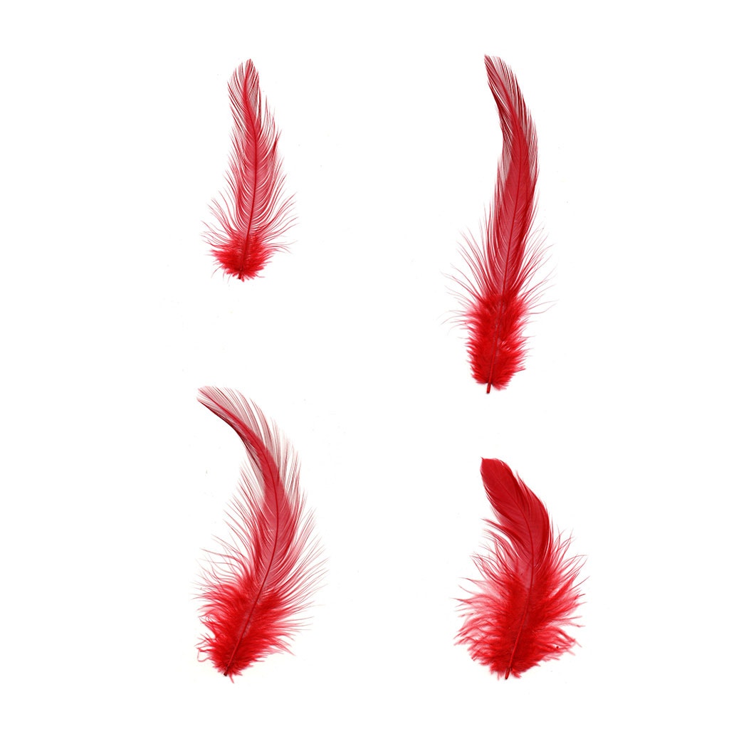 Loose Rooster Hackles Dyed - Red - Feathers