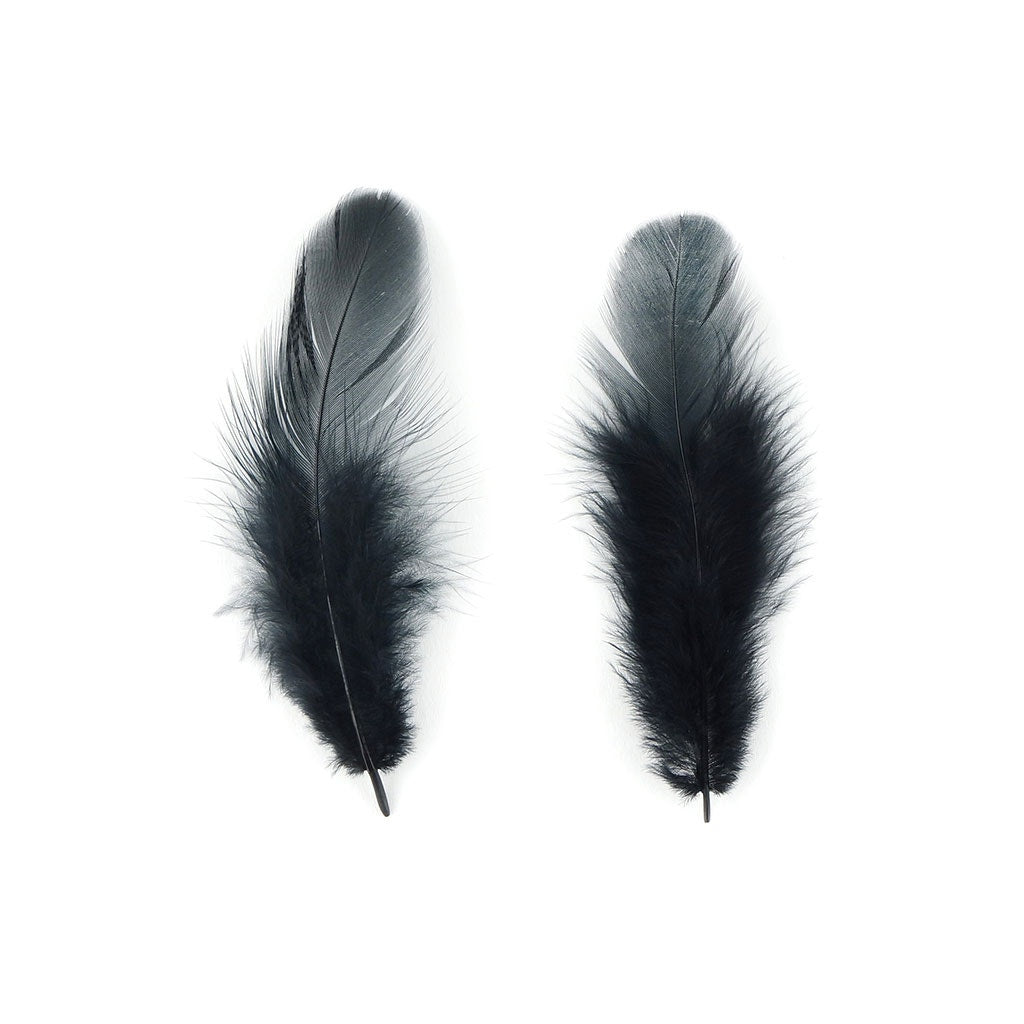 Loose Rooster Plumage Dyed - Black - Feathers