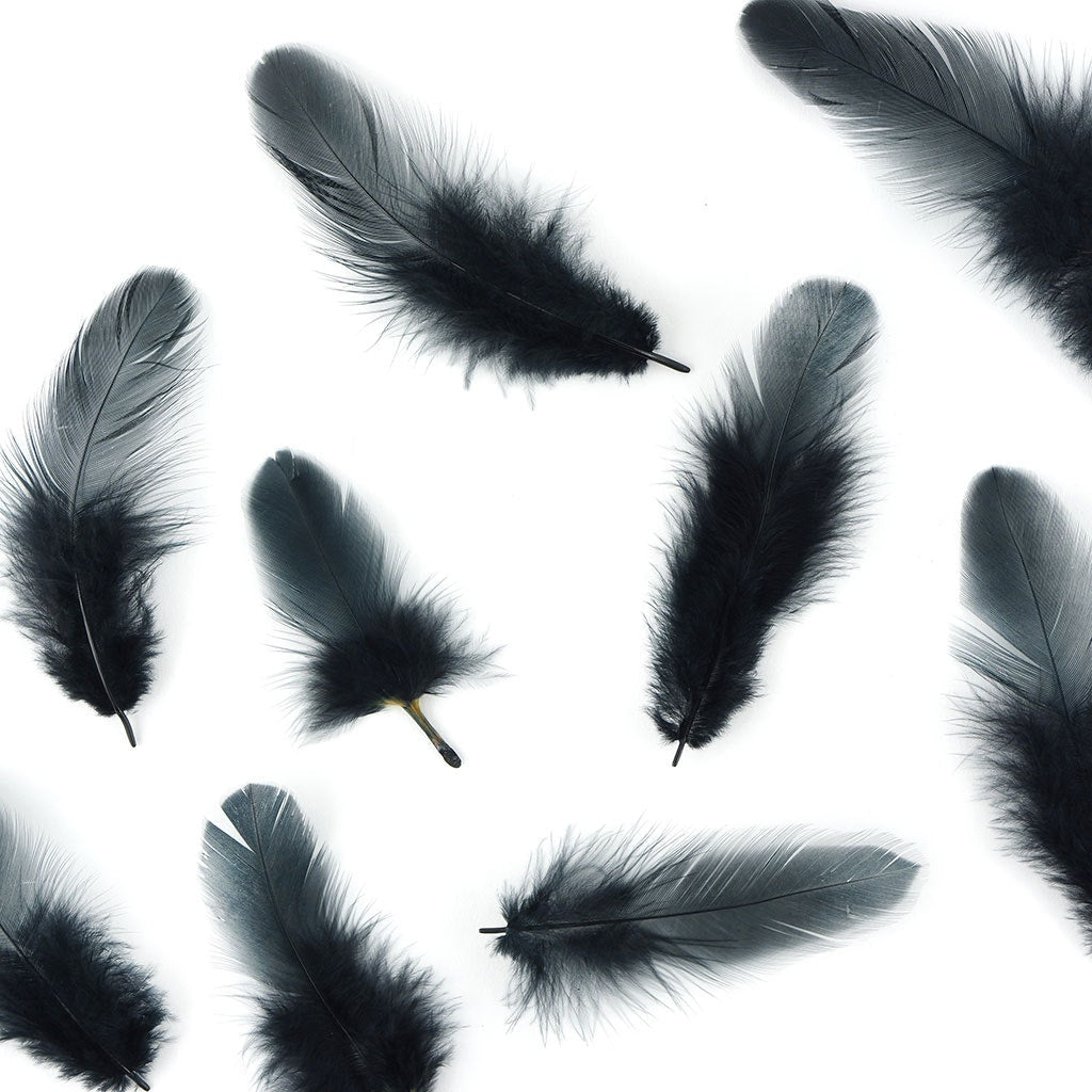 Loose Rooster Plumage Dyed - Black - Feathers