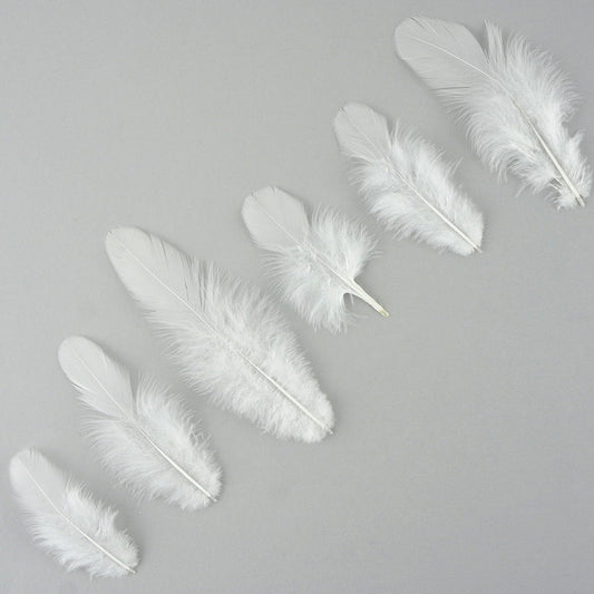 Loose Rooster Plumage Dyed - White - Feathers