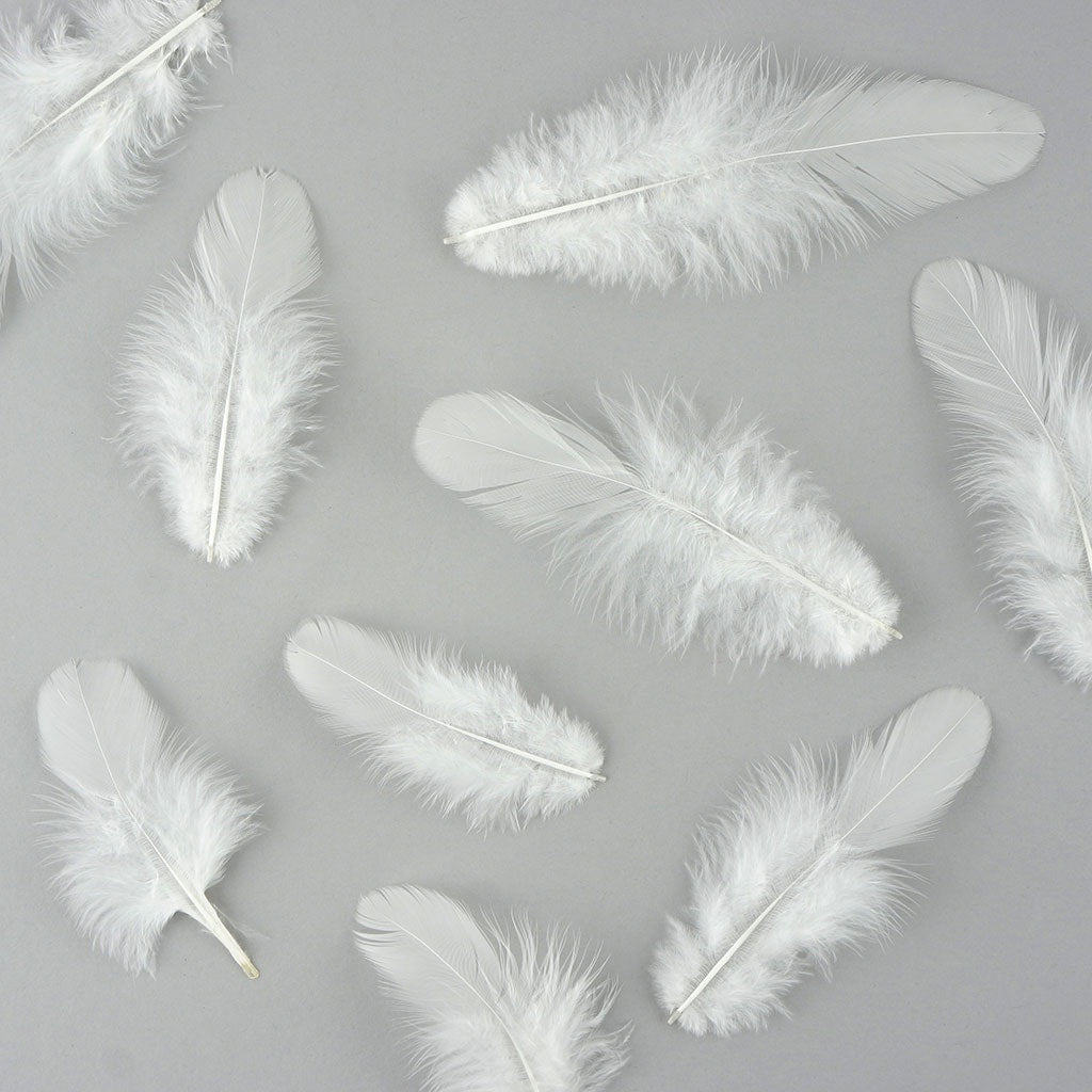 Loose Rooster Plumage Dyed - White - Feathers