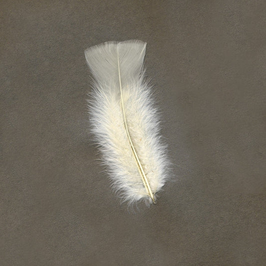 Loose Turkey Flats Dyed Feathers-Eggshell - Feathers