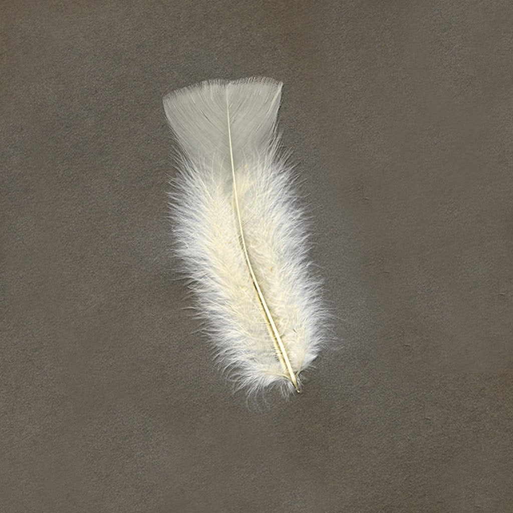 LOOSE TURKEY FLATS DYED SOLID - EGGSHELL - Feathers