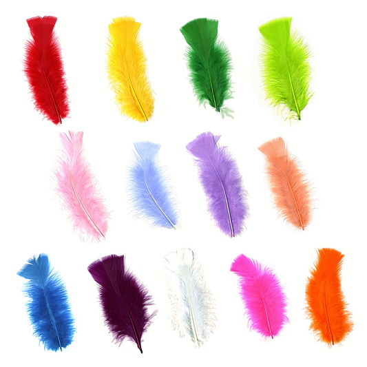 Loose Turkey Flats Mix Dyed - Assorted Mix - Feathers