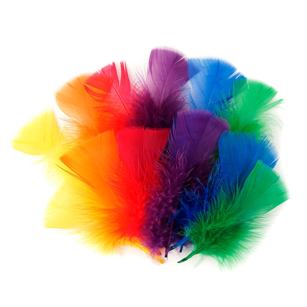 Loose Turkey Flats Mix Dyed Rainbow - Feathers