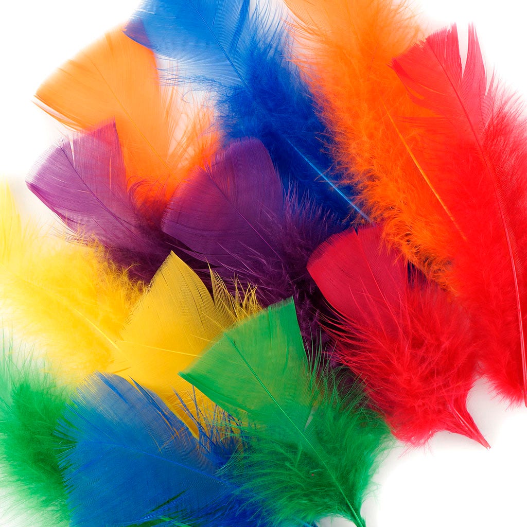 Loose Turkey Flats Mix Dyed Rainbow - Feathers