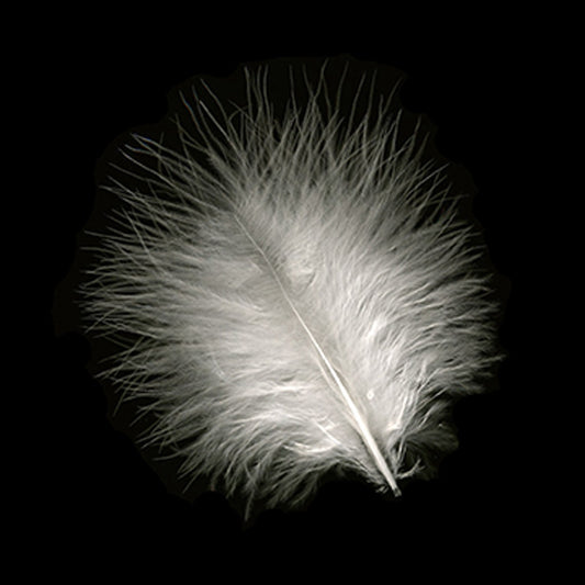 Loose Turkey Marabou Dyed - White - Feathers