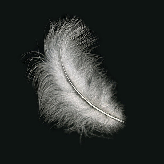 Loose Turkey Marabou Feathers 3-8’’ Dyed - White - Turkey Feathers