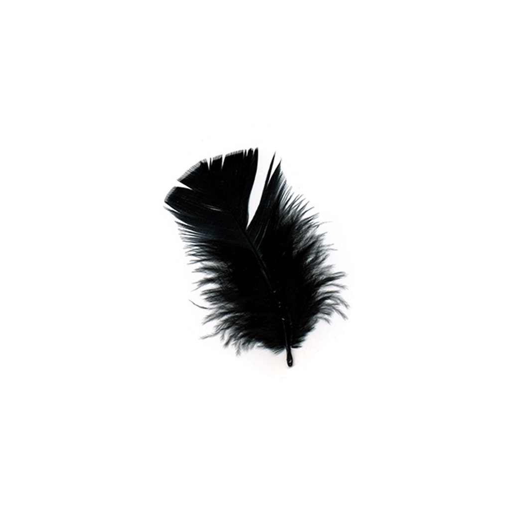 Loose Turkey Plumage Feathers - 0.5 oz - Black - Feathers