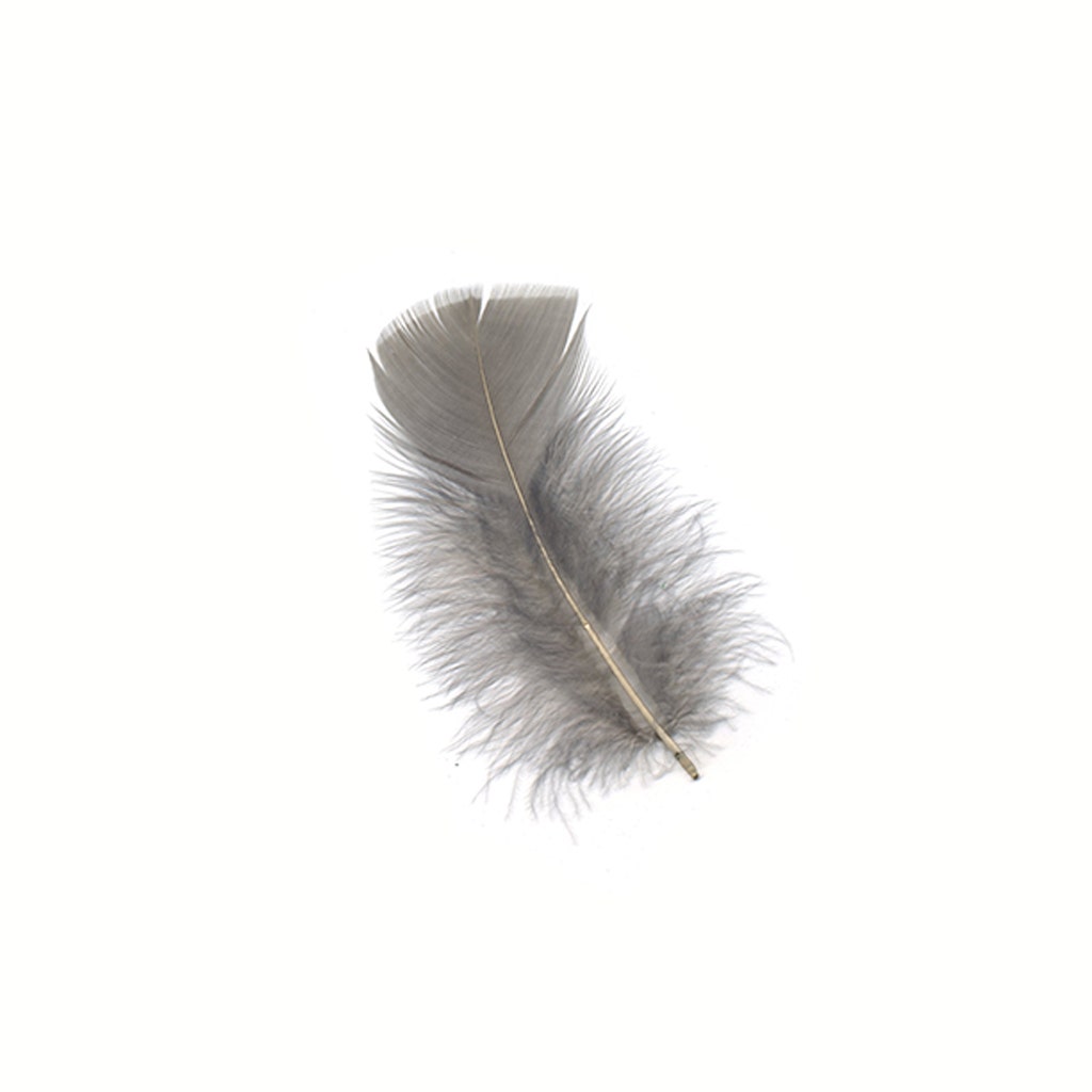 Loose Turkey Plumage Feathers - 1/4 lb - Grey - Feathers