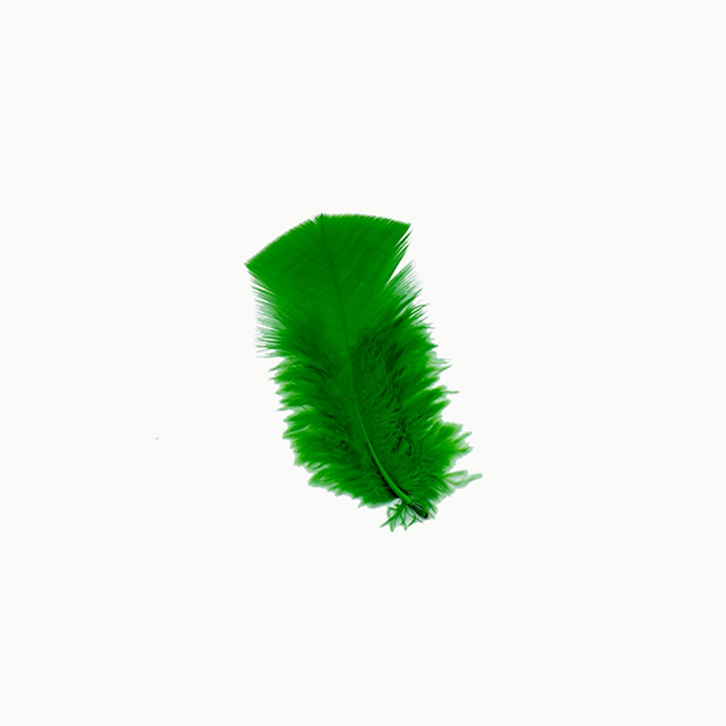 Loose Turkey Plumage Feathers - 1/4 lb - Kelly - Feathers