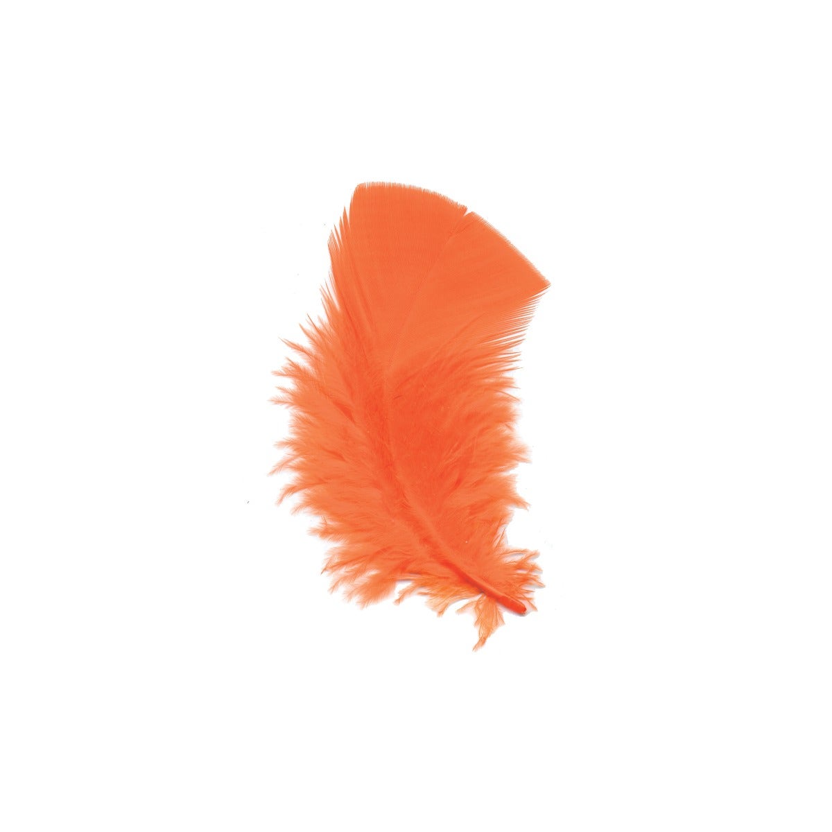 Loose Turkey Plumage Feathers - 1/4 lb - Orange - Feathers