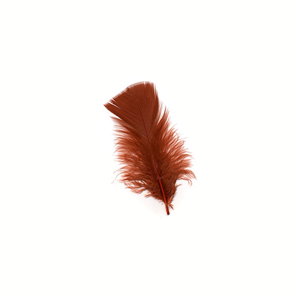 Loose Turkey Plumage Feathers - 1/4 lb - Rust - Feathers