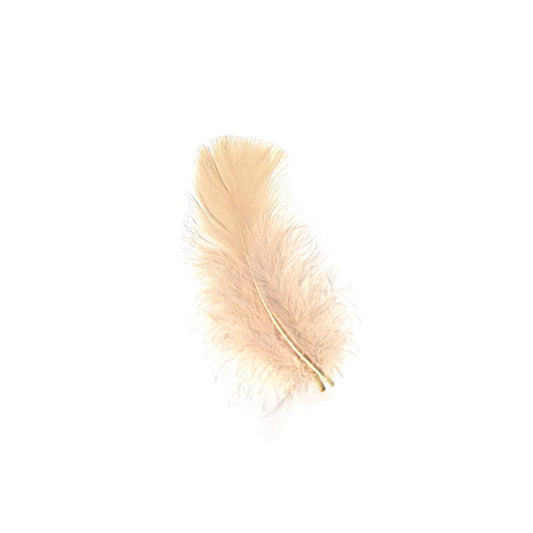 Loose Turkey Plumage Feathers - Eggshell - Feathers