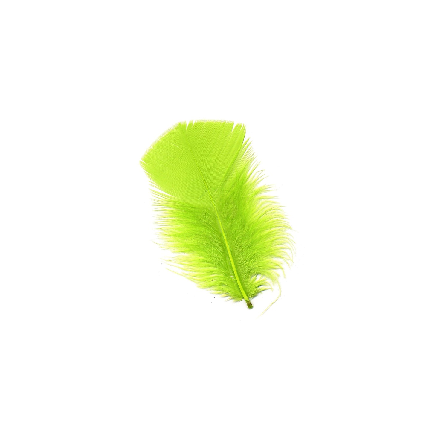 Loose Turkey Plumage Feathers - Lime - Feathers