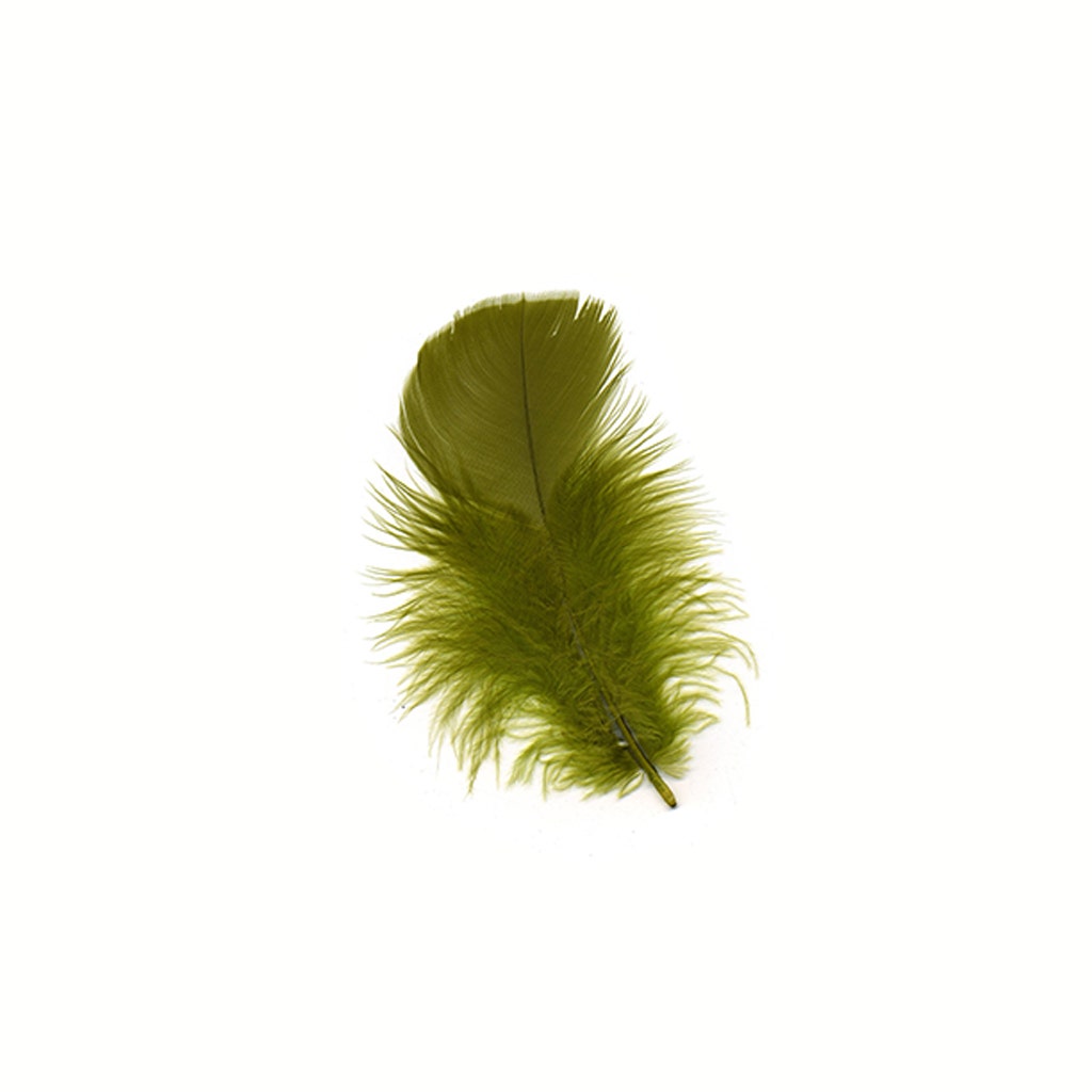 Loose Turkey Plumage Feathers - Olive - Feathers