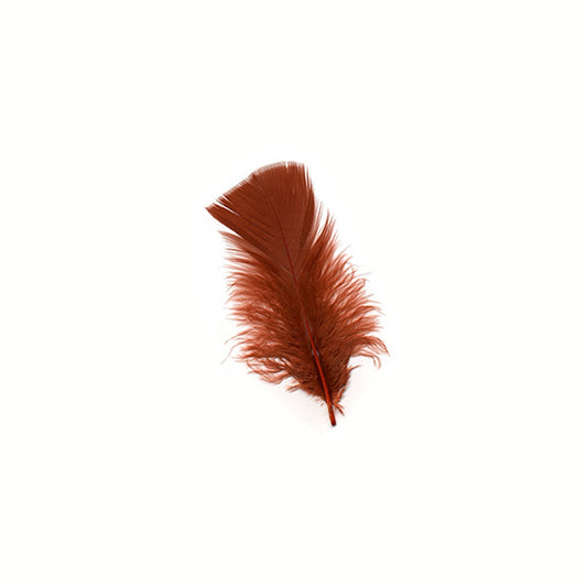 Loose Turkey Plumage Feathers - Rust - Feathers