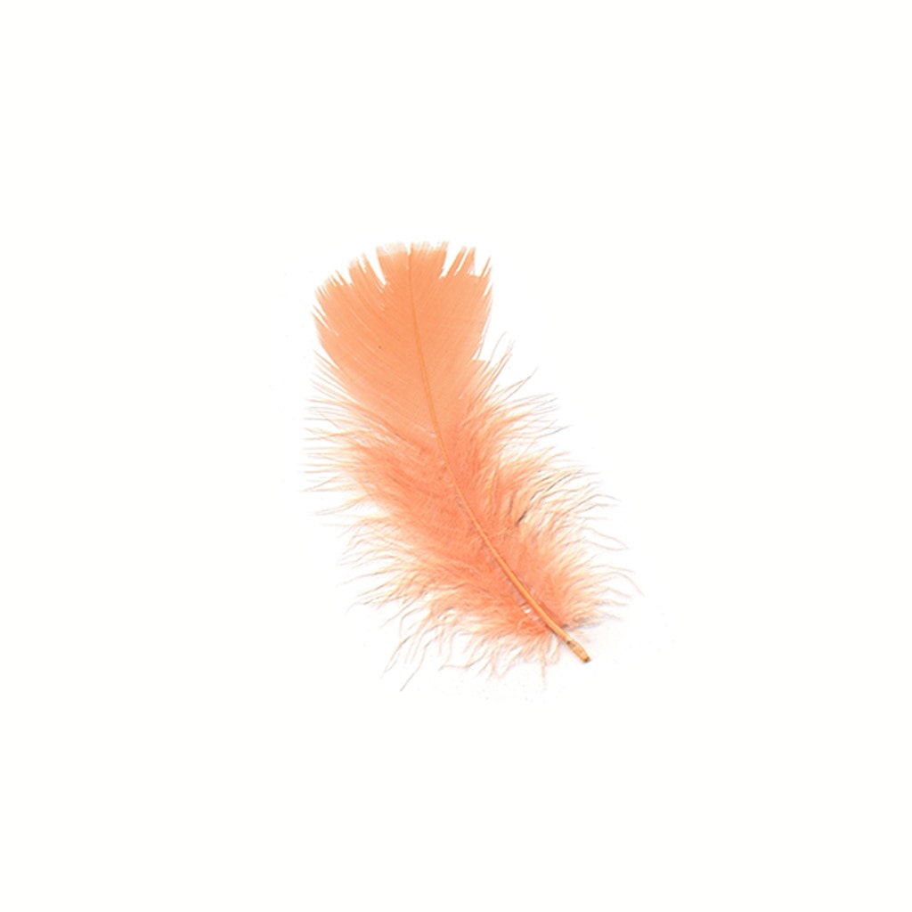 Loose Turkey Plumage Feathers - Shrimp - Feathers